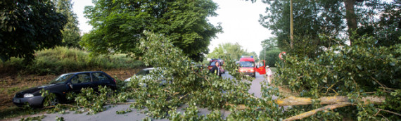 04.08.2013 – Abgestürzter Ast